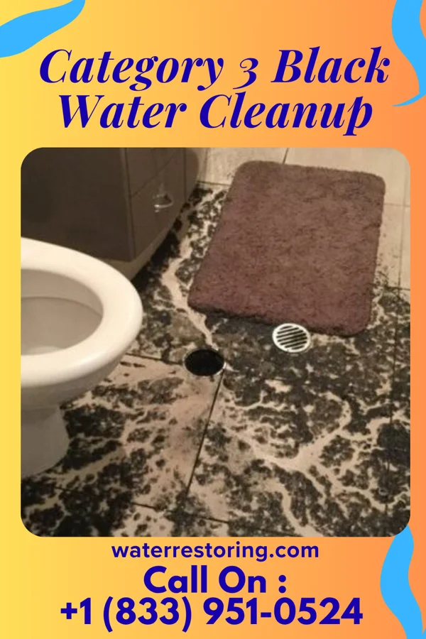 Category 3 Black Water Cleanup in Marathon, IA