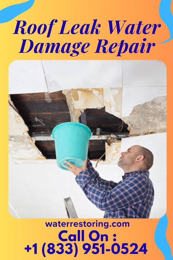 Roof Leak Water Damage Repair in Marathon, IA