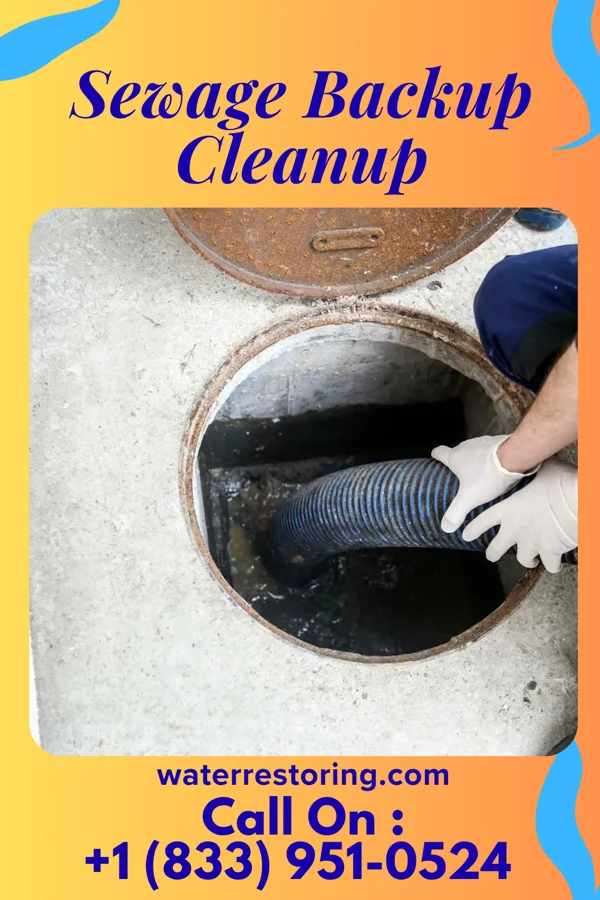 Sewage Backup Cleanup in Marathon, IA